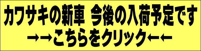 新車販売 カワサキ カワサキ正規代理店 ピットクルー